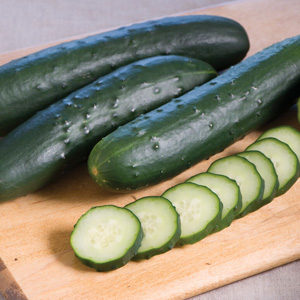 Corinto Cucumber