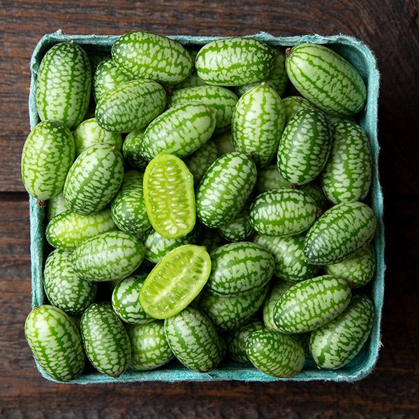 Cucamelon