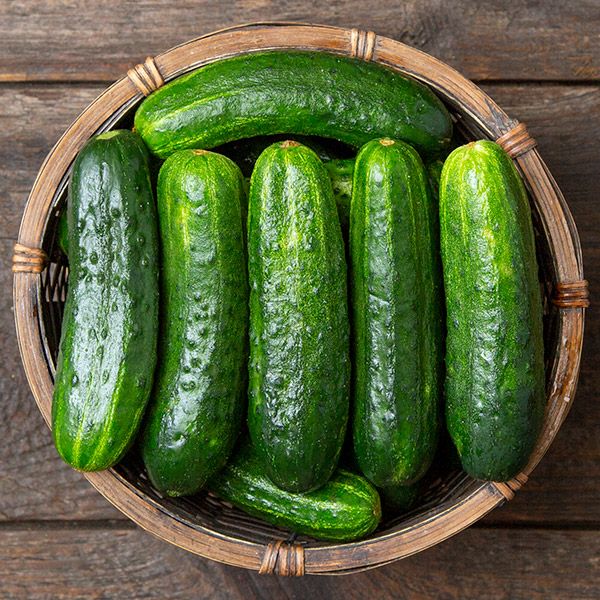 Excelsior Pickling