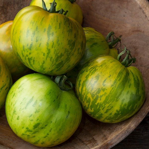 Green Zebra