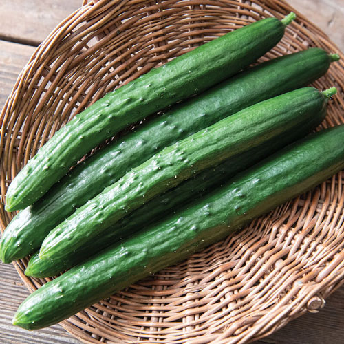 Sashimi Cucumber